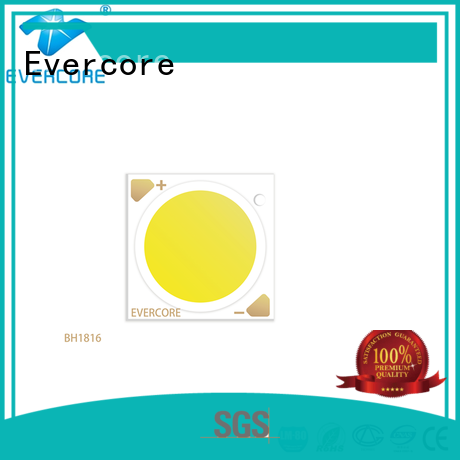 Evercore par Cob Led supplier for sale