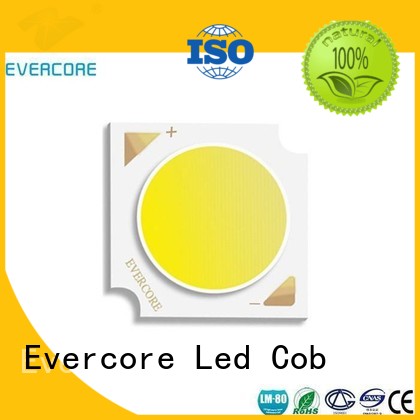 Evercore Brand led 36W modules High lumens Cob Led Module