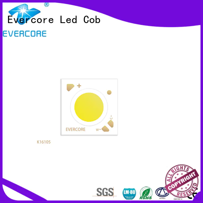 Evercore long lifespan cob led module supplier for sale
