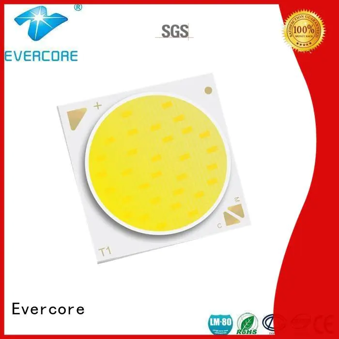 coloring led lights led Evercore Brand two color led