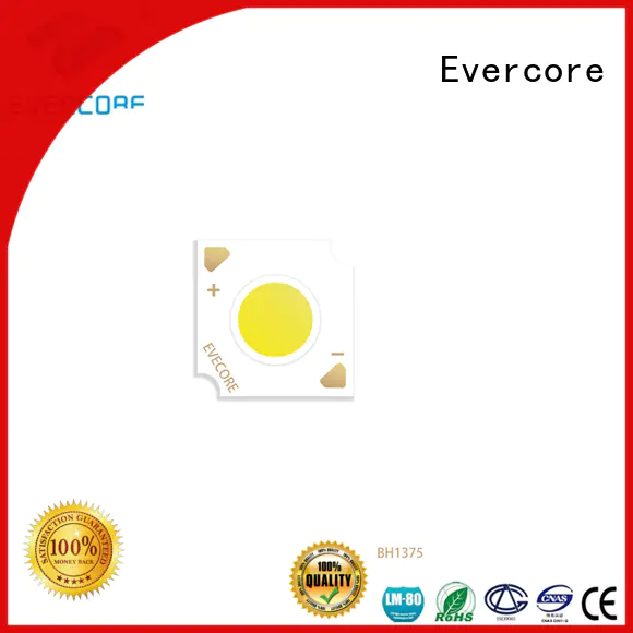 Evercore green Led Cob Chip manufacturer for distribution