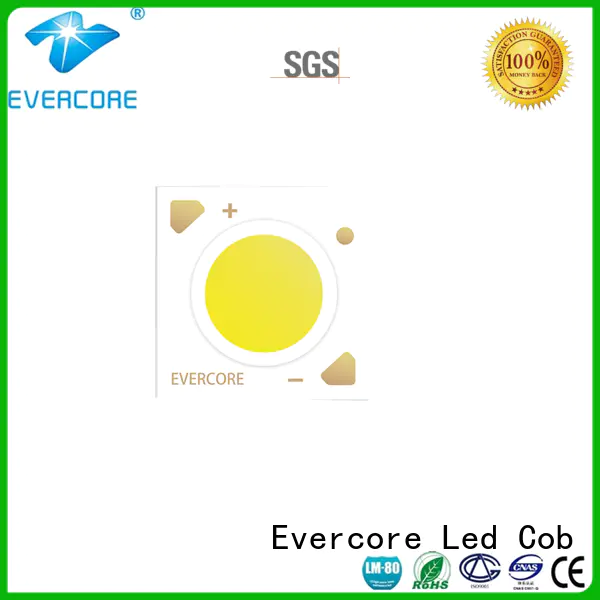 Evercore mirror rgb cob led manufacturer for sale