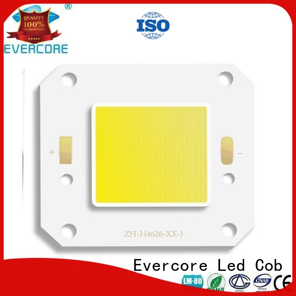 high lighting efficiency cob led Evercore Brand