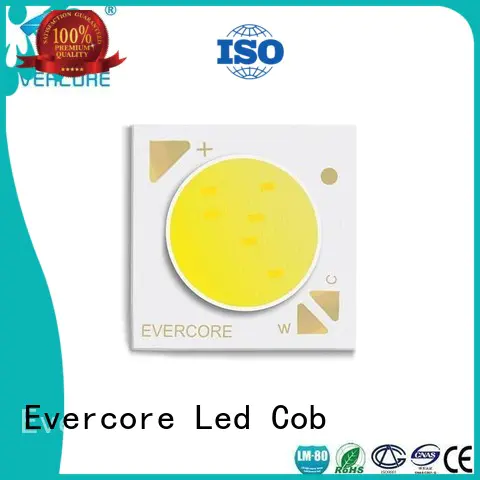 High reliability High CRI Evercore Brand coloring led lights