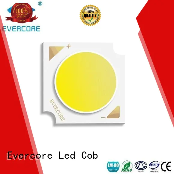High CRI led cob led spot cob Evercore company