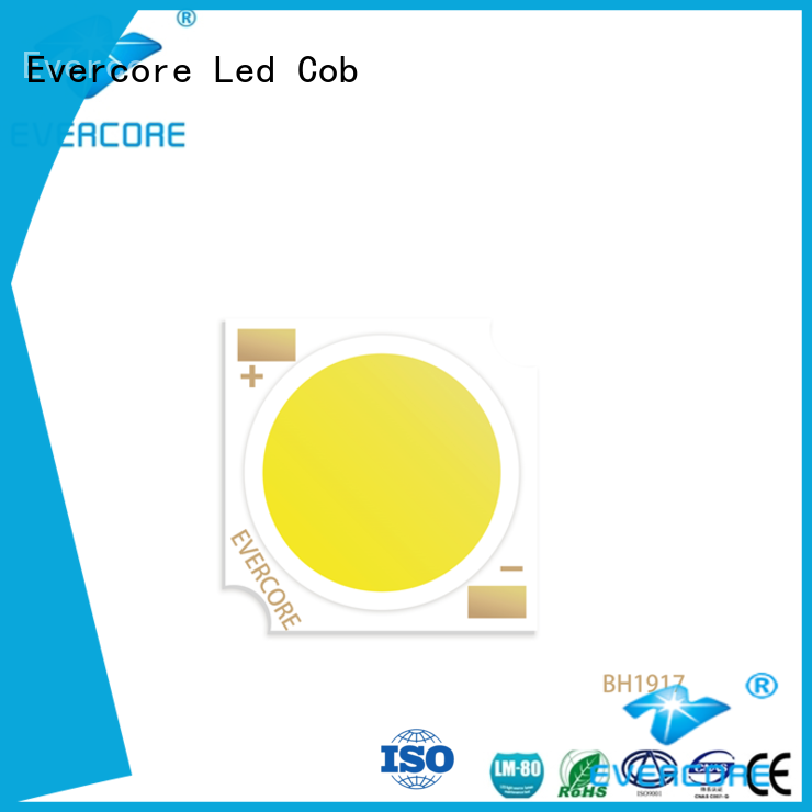 Evercore cheap Led Cob Chip supplier for lighting