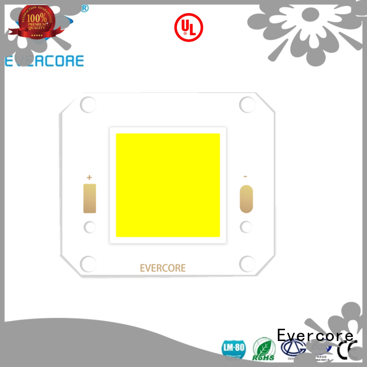 Evercore od3835 outside downlights led exporter for distribution