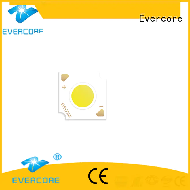 Evercore led chip cob from China for dealer