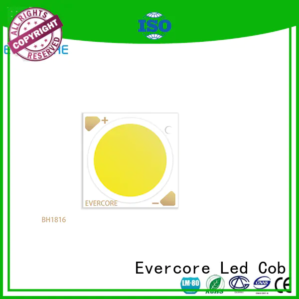 Evercore green Led Cob Chip supplier for distribution