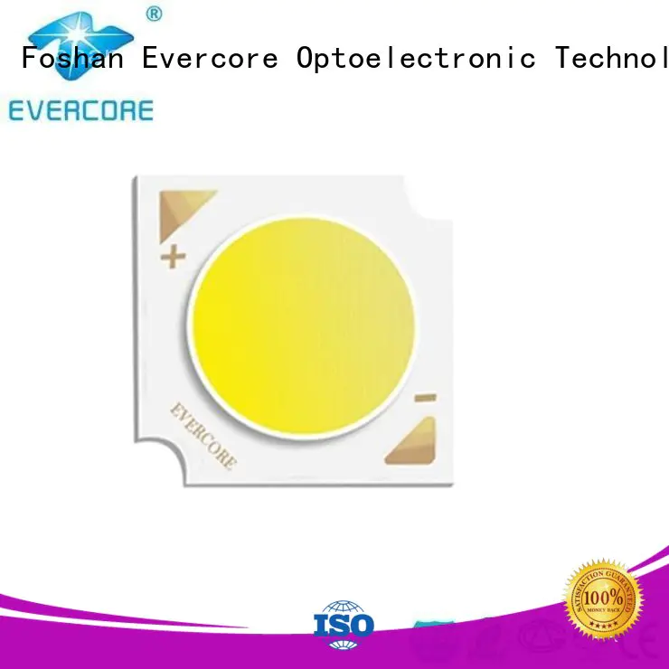Evercore ） Led Cob Chip supplier for lighting