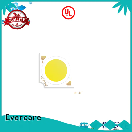 Evercore professional commercial lighting cob supplier for wholesale