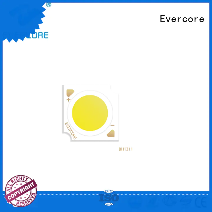 Evercore new downlight cob customized for distribution