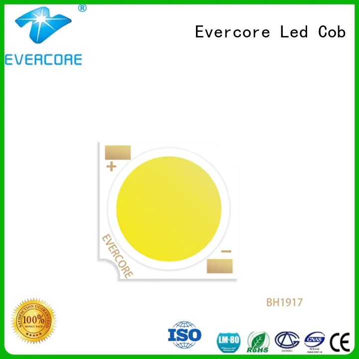 Evercore bh1917 led downlight kit factory for sale