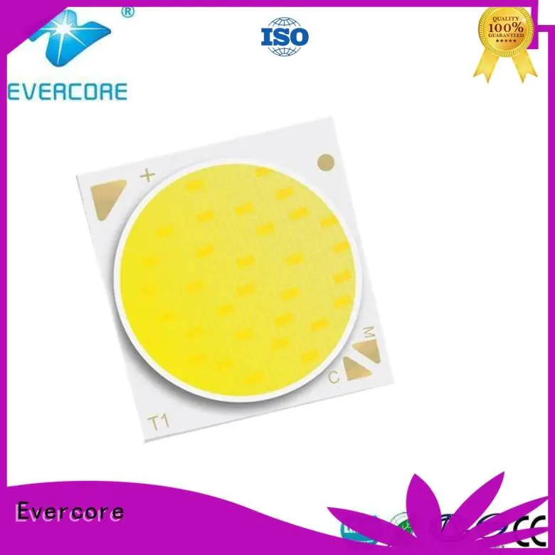 cob two color led Evercore coloring led lights