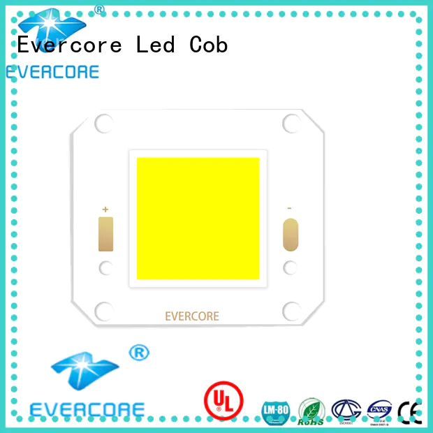 Evercore oh3835 outside downlights led exporter for lighting