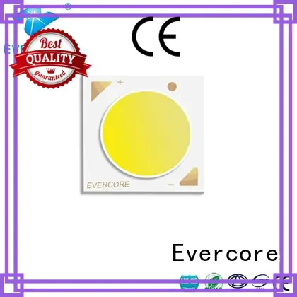 Cob Led h18 for distribution Evercore