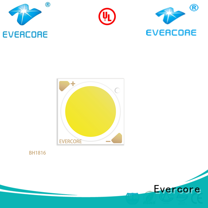 green Cob Led h23 supplier for distribution