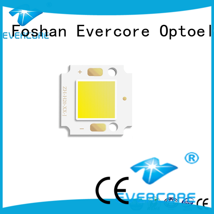 Evercore best quality buy outside lights exporter for distribution