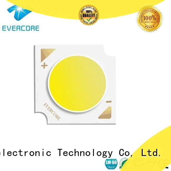 Evercore Low cost Cob Led manufacturer for lighting
