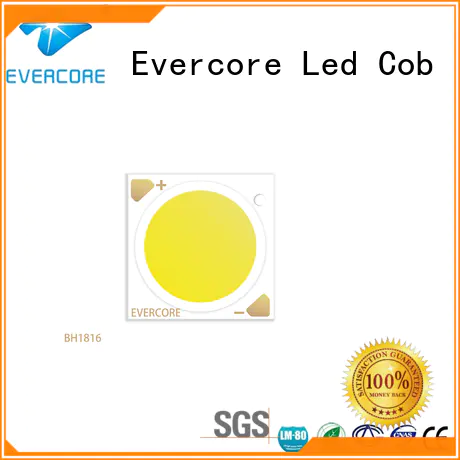 Evercore new led downlight kit customized for market