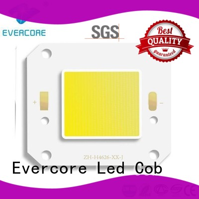 Evercore Brand modules led cob high lighting efficiency