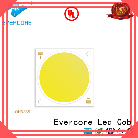 Evercore best quality buy outside lights from China for lighting