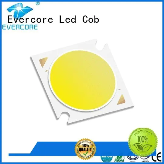 Quality high cri cobs led manufacturer Evercore Brand cob commercial lighting cob led cob