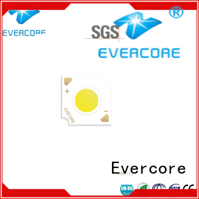 Evercore cheap Cob Led factory for sale