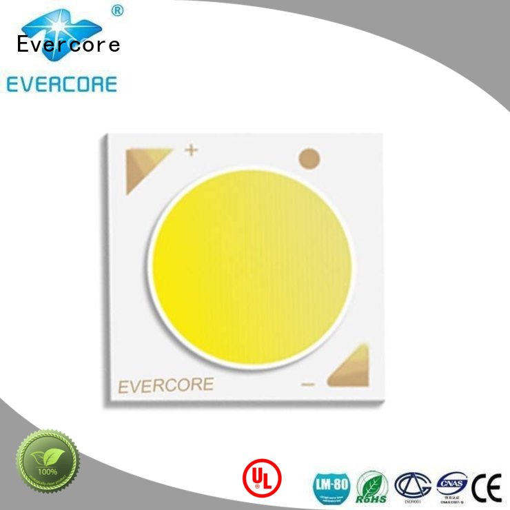 led Cob Led Module 10W Evercore company