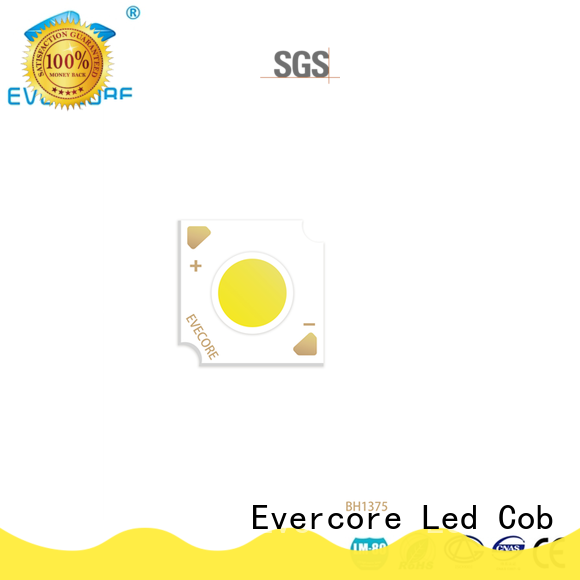 Evercore Low cost rgb cob led supplier for lighting