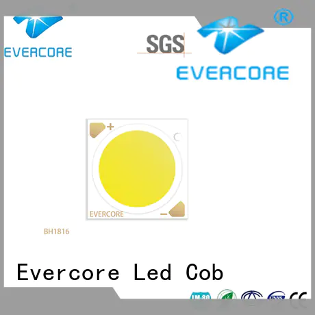 Evercore front Led Cob Chip manufacturer for lighting