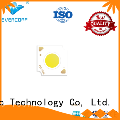 Evercore light Led Cob Chip manufacturer for distribution