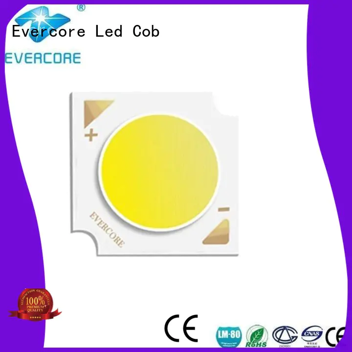 Evercore Brand cob led led chip led supplier