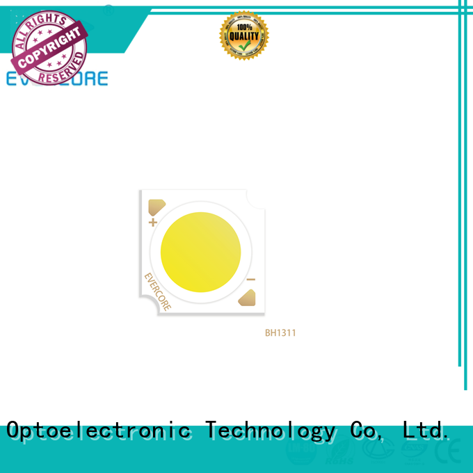 Evercore front Cob Led supplier for lighting