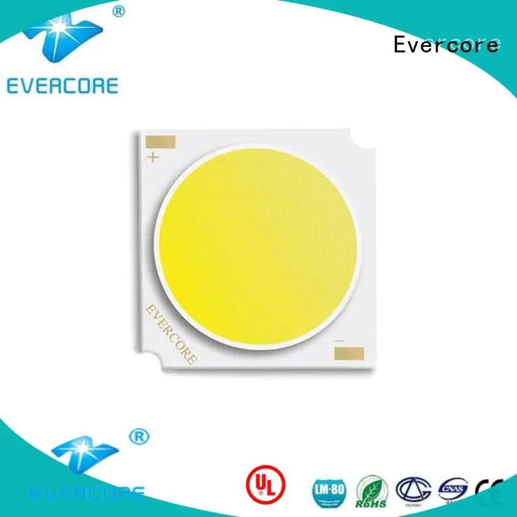 Evercore meat cob led light customized for distribution