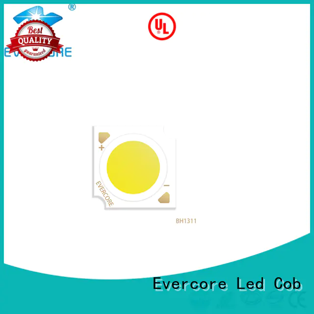 Evercore affordable downlight cob factory for market
