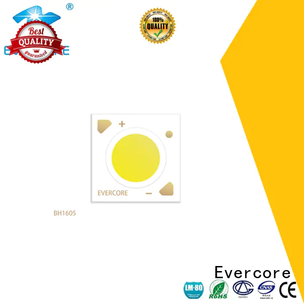 Evercore affordable downlight cob customized for sale