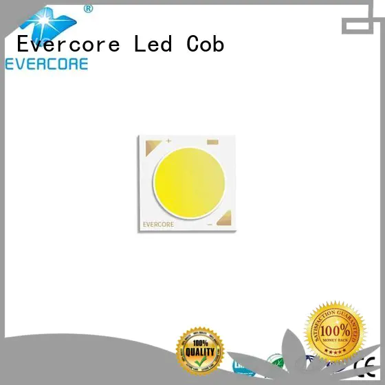 Evercore long lifespan cob led 3v bk1914 for sale