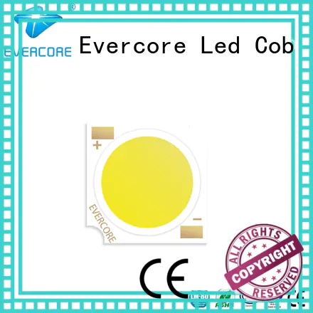 Evercore wholesale chip cob Asia company for sale