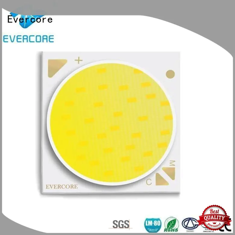 High reliability Widely used cob led module cob Evercore Brand company