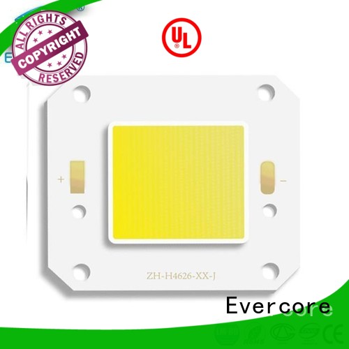 Evercore best quality outside yard lights from China for importer