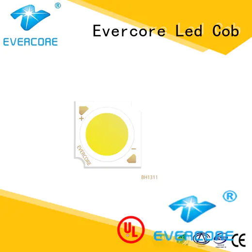 Evercore spot downlight cob customized for distribution