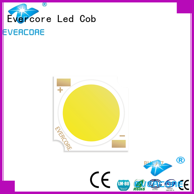 Evercore green Led Cob Chip factory for distribution
