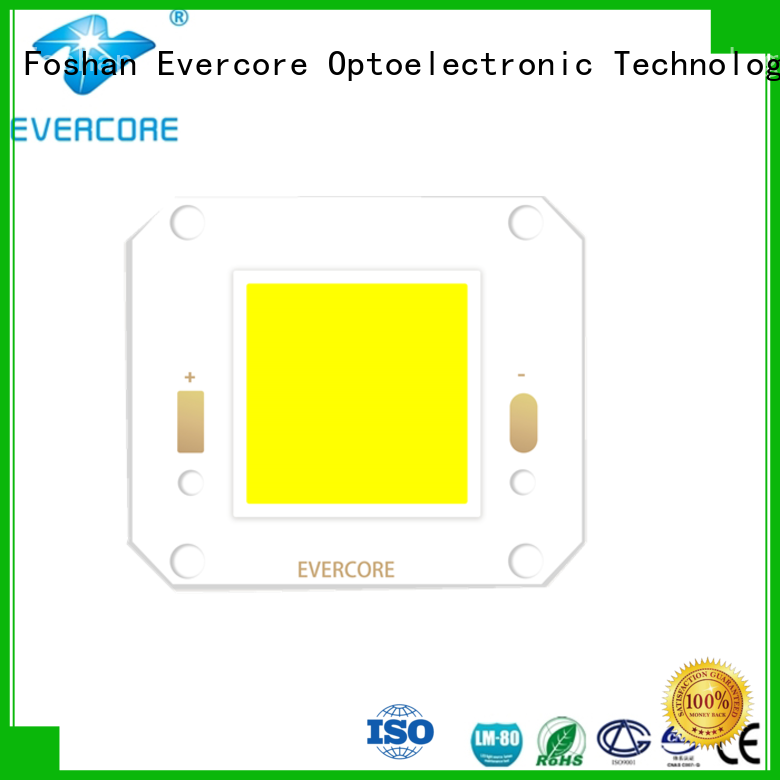 low MOQ spot led cob 50w80w from China for distribution