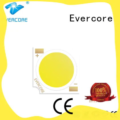 Evercore high quality cob led light customized for sale