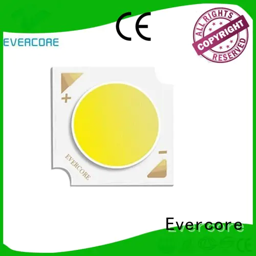 Evercore ） Led Cob Chip factory for lighting