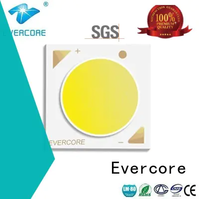 High CRI full spectrum Evercore Brand best cob led grow light
