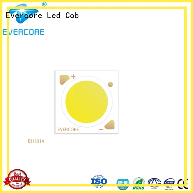 advanced technology downlight cob bh16105 customized for sale