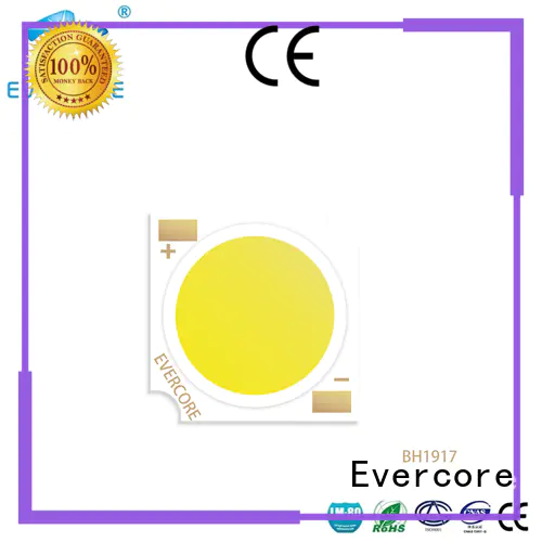 Evercore hotel leds modules customized for wholesale
