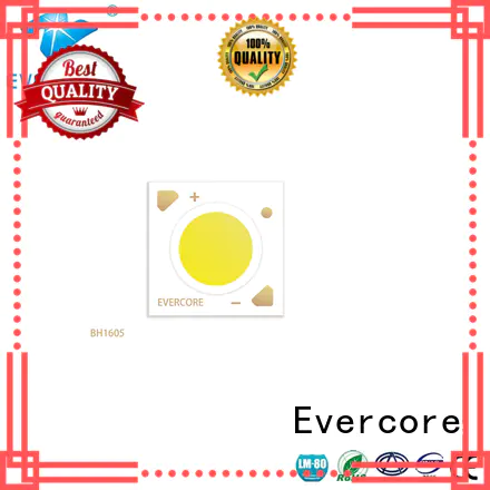 Evercore big production cob led kit looking for a buyer for merchant
